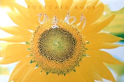 �q�}������POSTCARD BOOK