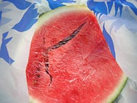 ��ŃX�C�J��₵�ĐH�ׂ܂���